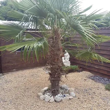 Le Paradis Bed & Breakfast