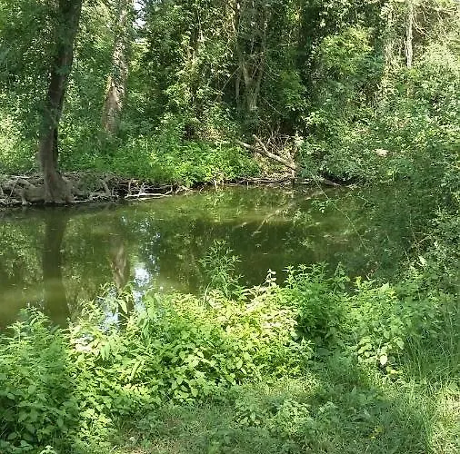 Le Paradis Bed & Breakfast Fressies