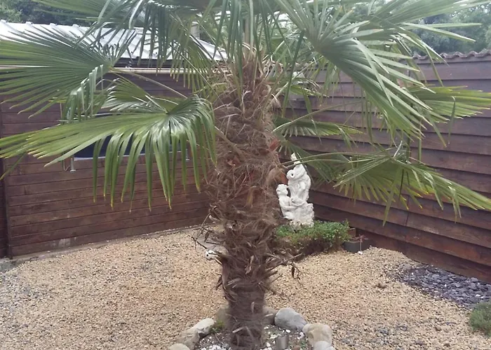 Le Paradis Bed & Breakfast