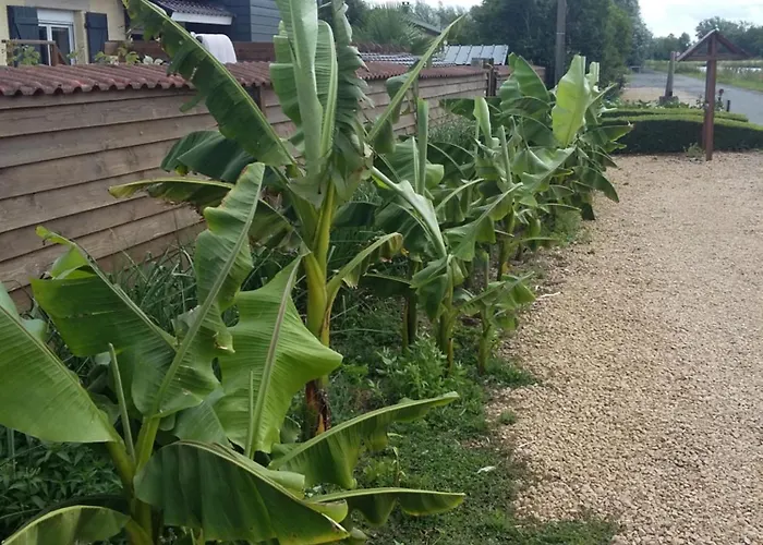 Le Paradis Bed & Breakfast Fressies